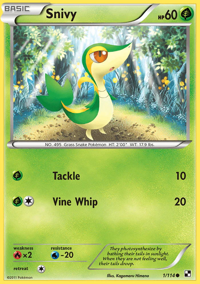 Black and White 001 Snivy