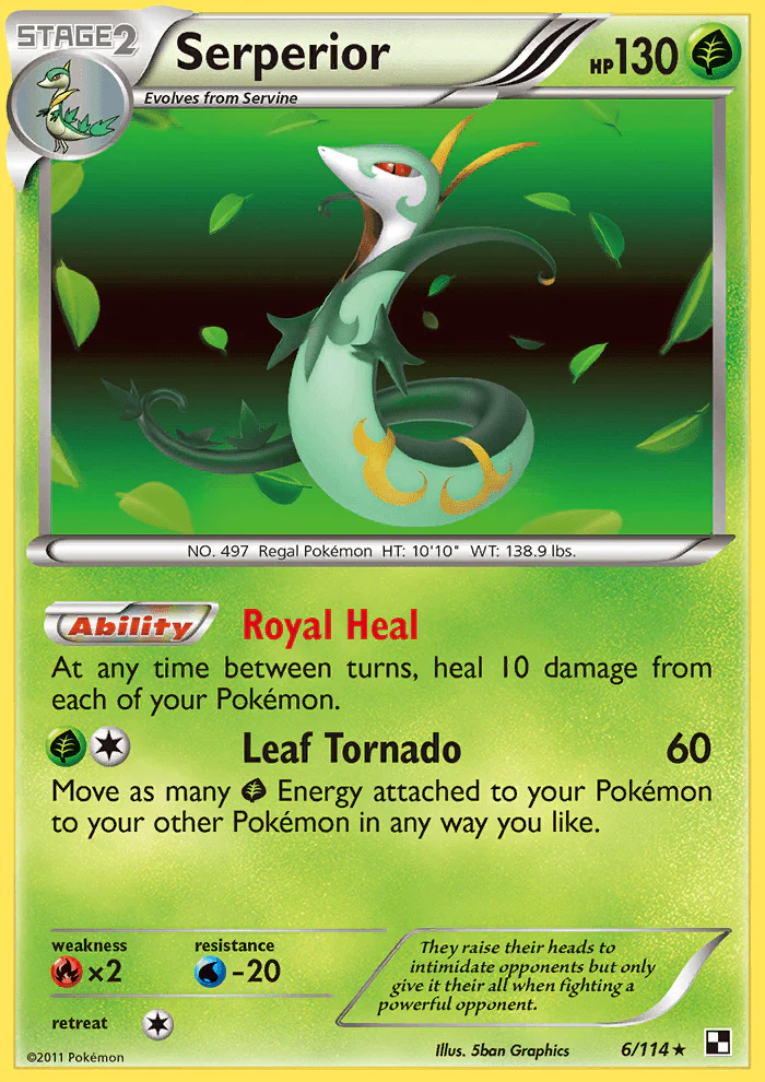 Black and White 006 Serperior