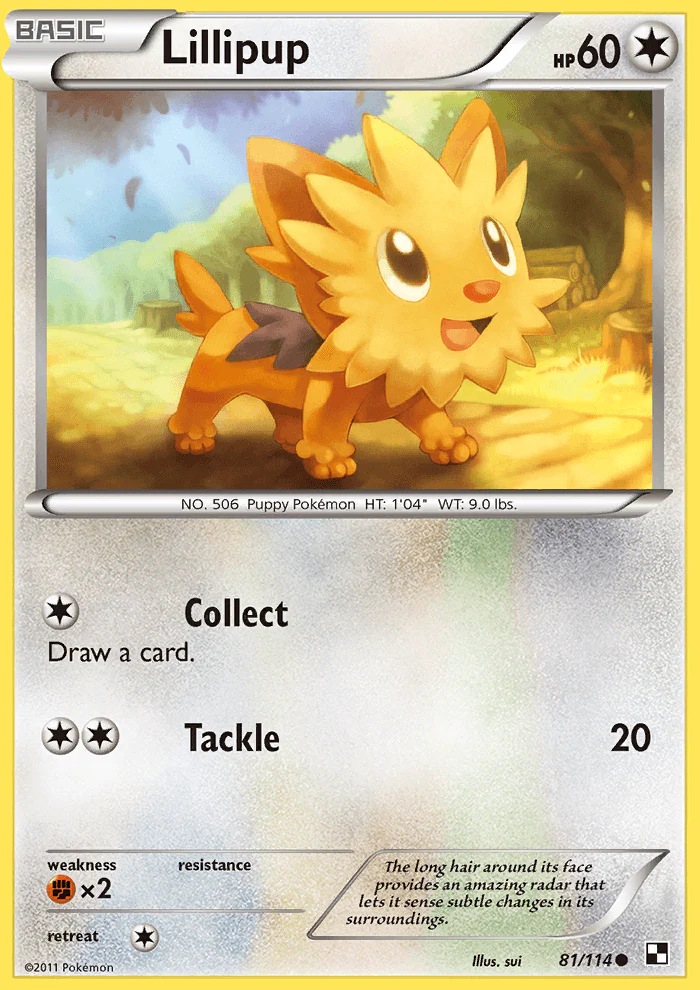 Black and White 081 Lillipup