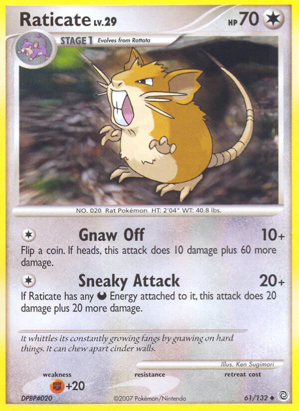 Secret Wonders 061 Raticate