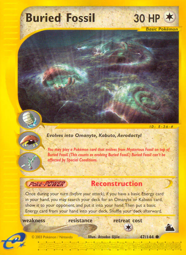 Skyridge 047 Buried Fossil
