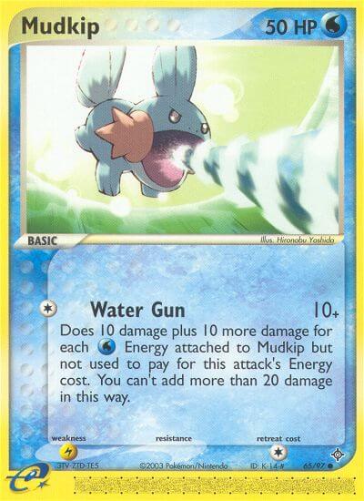 Dragon 065 Mudkip