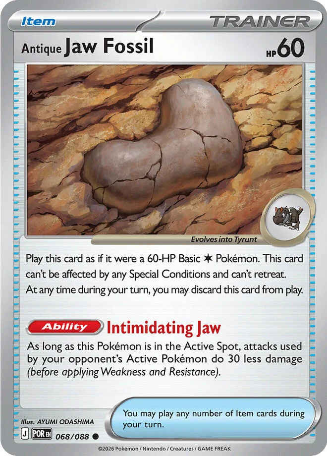 Perfect Order 068 Antique Jaw Fossil