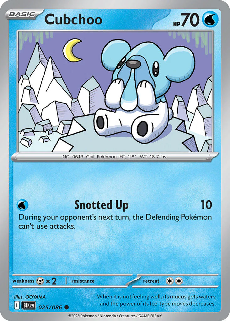 Black Bolt 025 Cubchoo