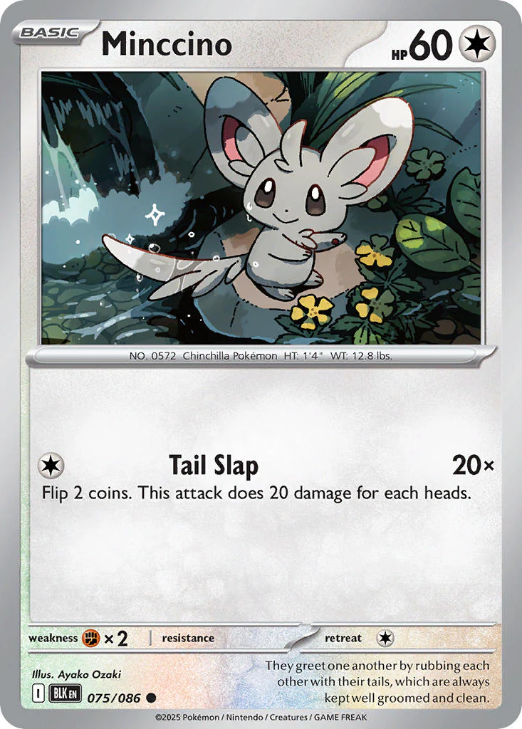 Black Bolt 075 Minccino