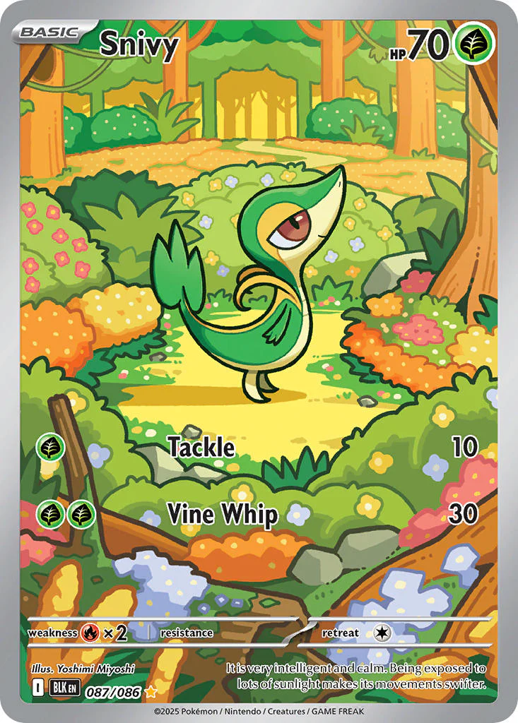 Black Bolt 087 Snivy
