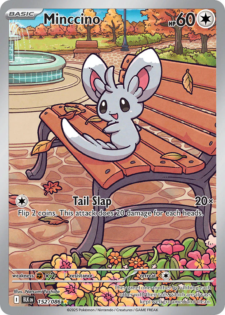 Black Bolt 152 Minccino