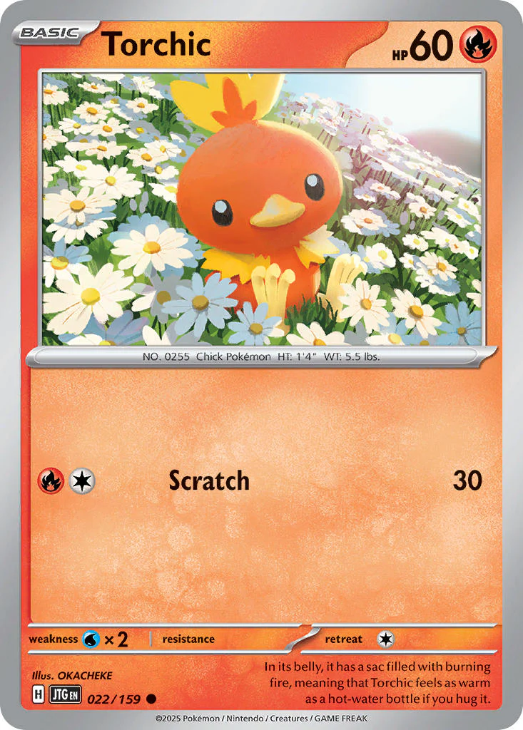 Journey Together 022 Torchic