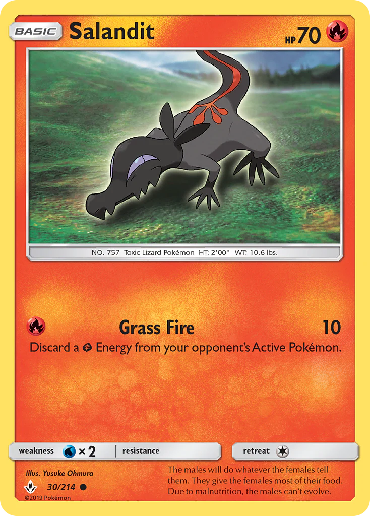 Unbroken Bonds 030 Salandit