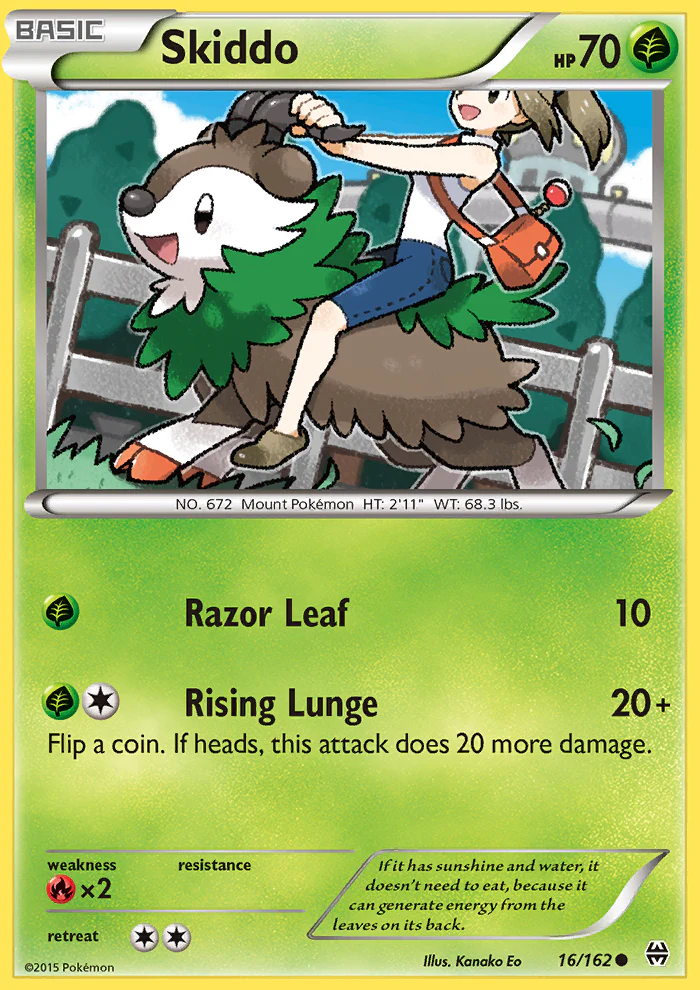 Breakthrough 016 Skiddo