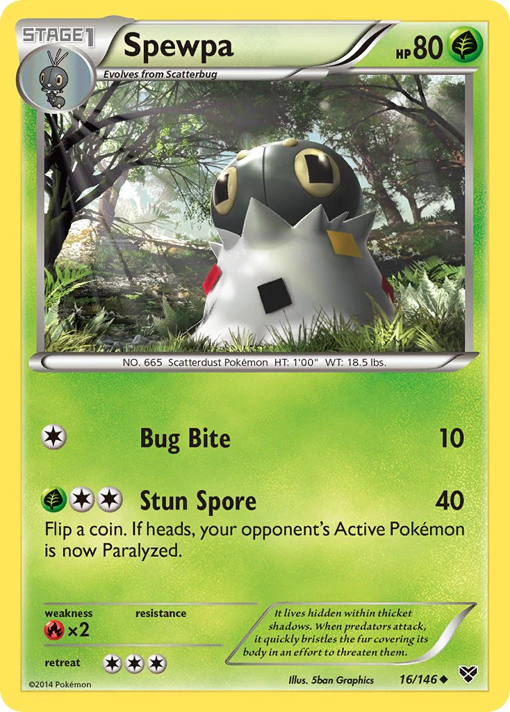 XY 016 Spewpa