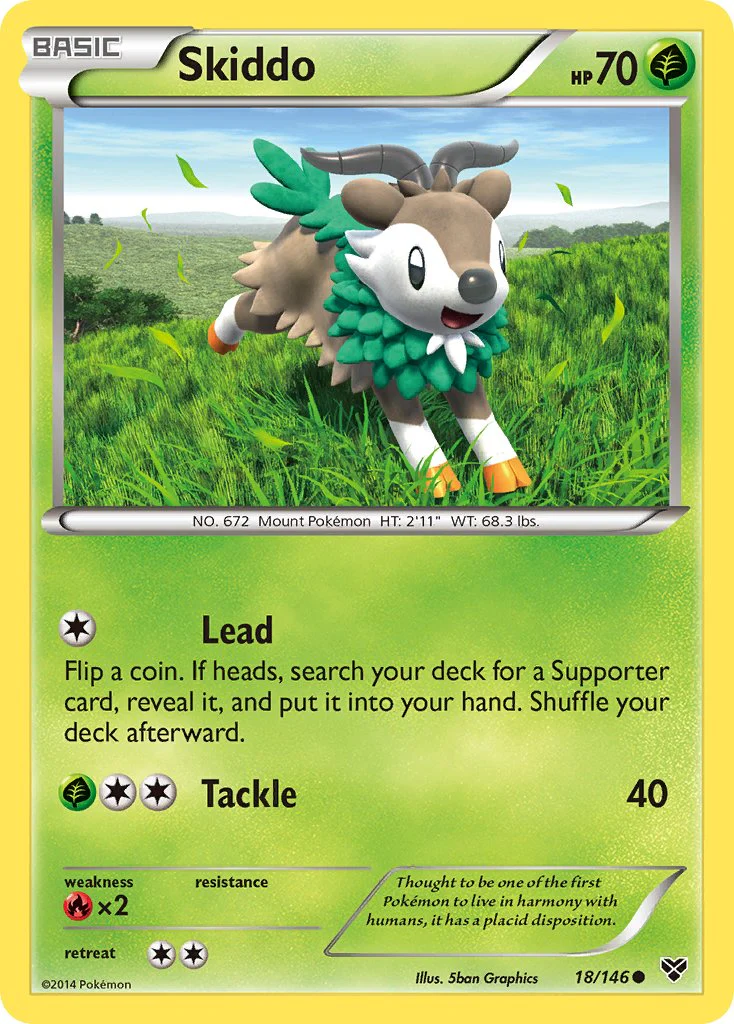 XY 018 Skiddo