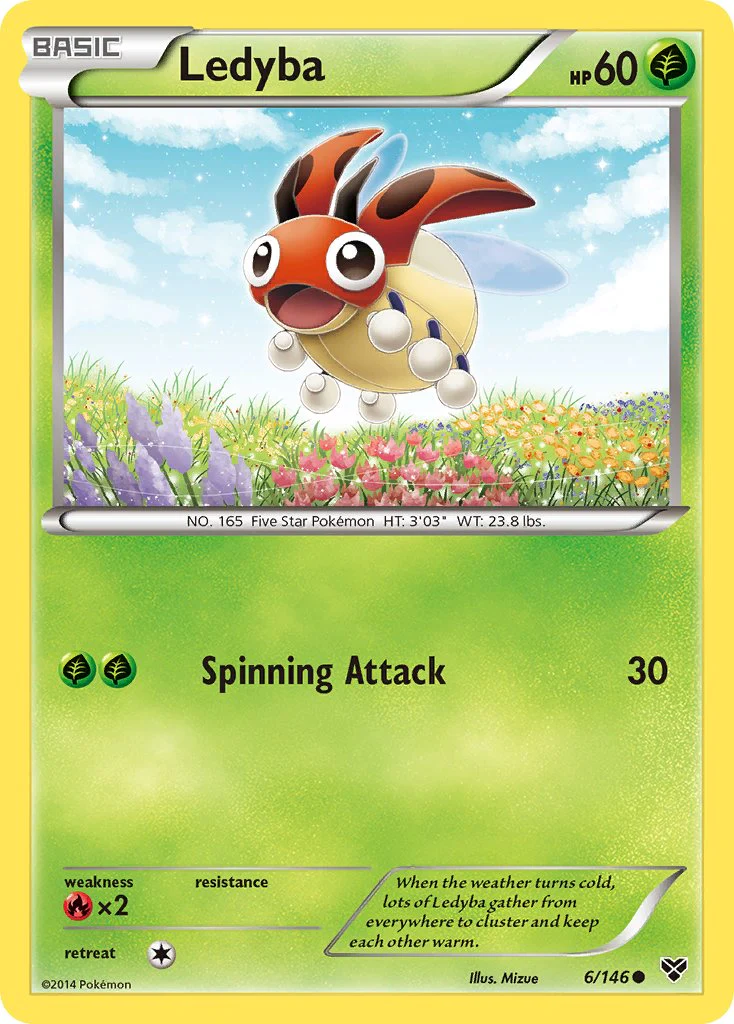 XY 006 Ledyba