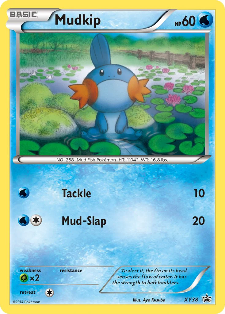 XY Black Star Promos 038 Mudkip